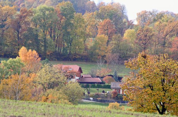 automne-02
