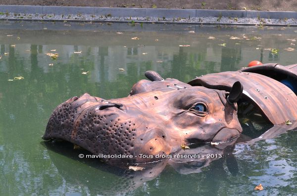 bassin hippopotame place napoléon (2)
