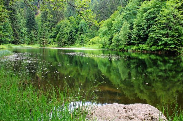 Lac-des-Corbeaux 2193 (FILEminimizer)