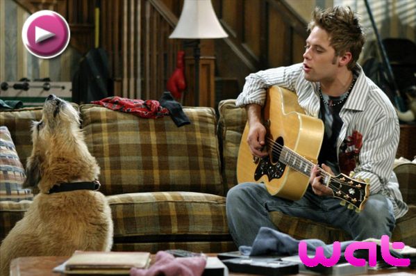 sauvages-serie-tv-streaming.jpg