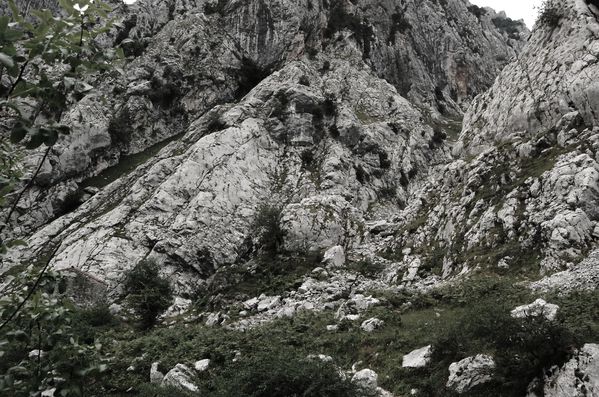 Asturies picos de europa n&b (17)