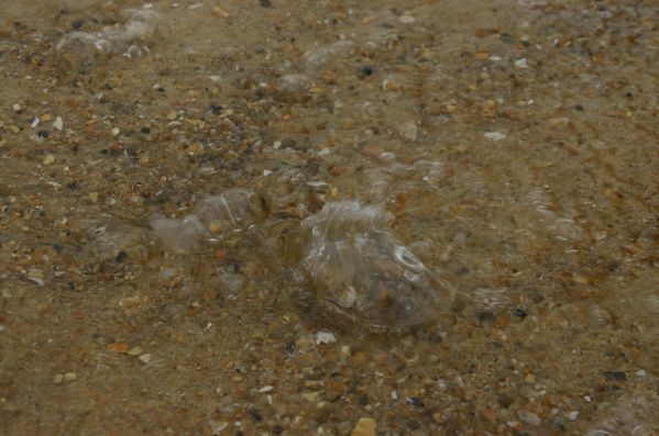 Bulles-de-plage-jpg