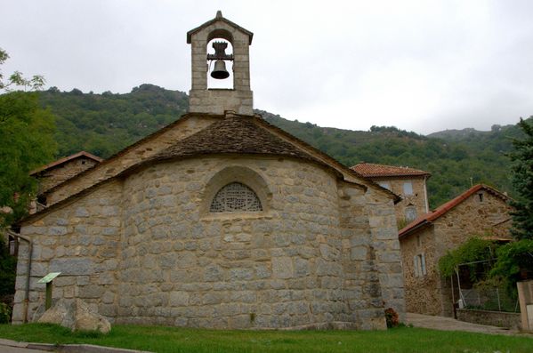 ALEX5625