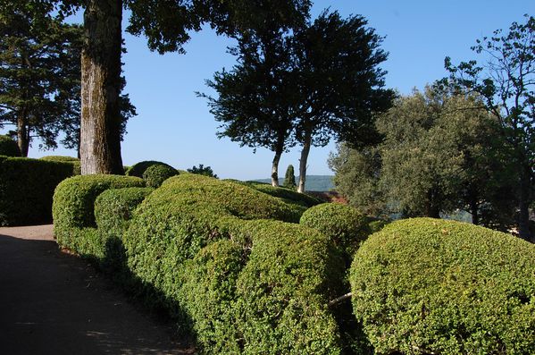 Dordogne jardins de Marqueyssac (5)