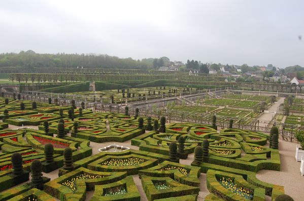 Jardin du chateau de Villandry (4)