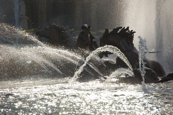 versailles bassin d'apollon (2)