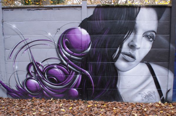 643 murs Draveil 91210