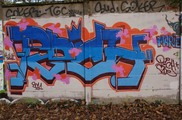 713 murs Draveil 91210