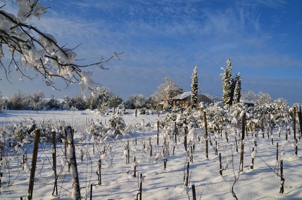 neige-Jardin-de-l-Ivresse.jpg