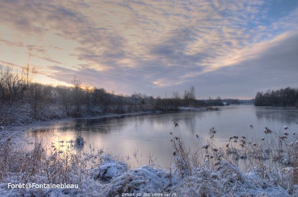 etang espace naturel sensible du marais d'episy marais episy 7