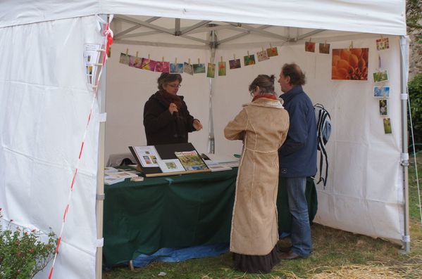 Hortonales2012 063 1