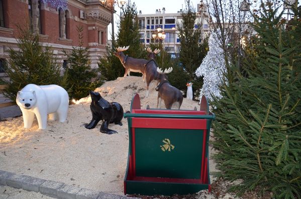 0-.Noel-2011--19-.jpg