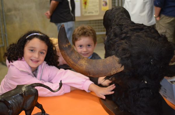 Expo 40 arenes 017