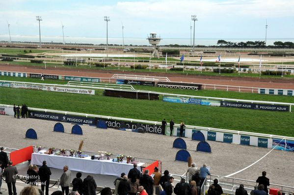 Grand Criterium de vitesse hippodrome Côte d'Azur 2013