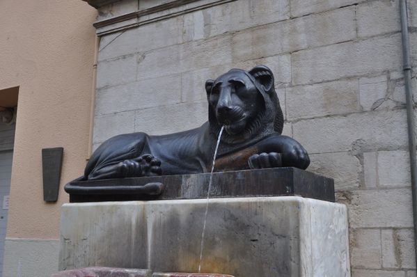 lion.jpg