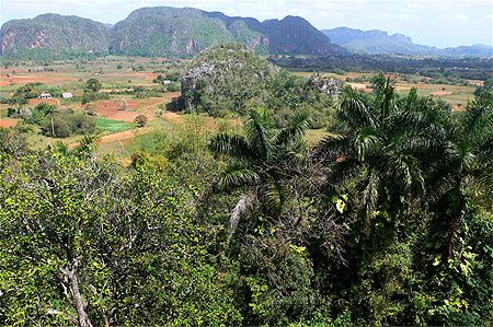 Vinales 4