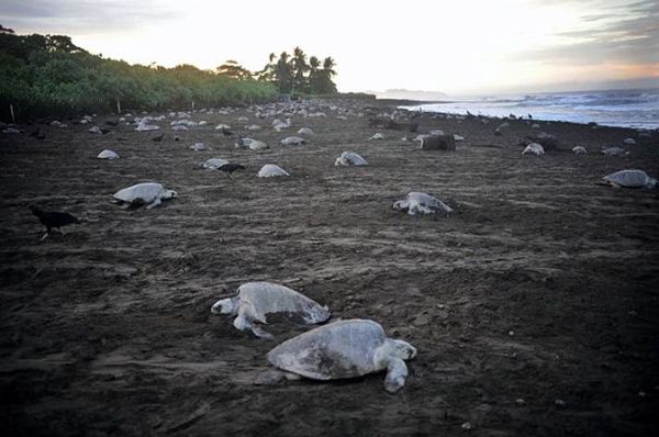 image00211
