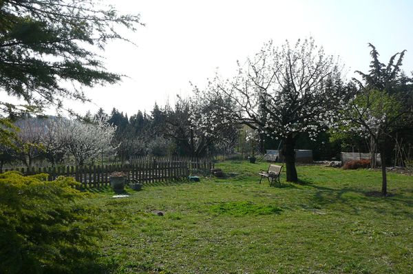 P1110860