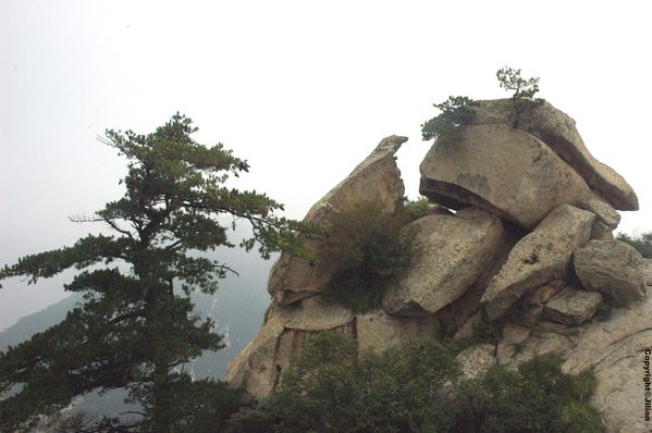 Shaanxi-Huashan - Octobre 2010 323 copy