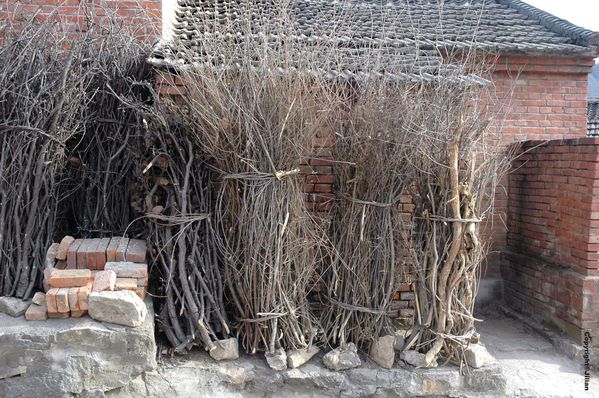 Haizi-Changping - Janvier 2011 035 copy