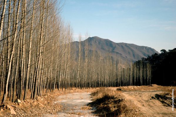 Nanzhuang-Changping - Janvier 2011 018 copy