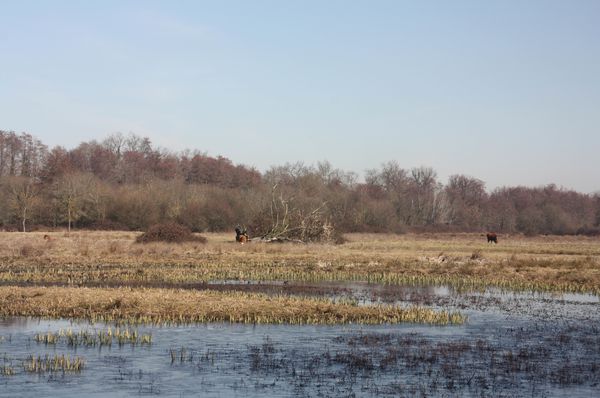 4651-La-reserve-naturelle-de-Bruges.jpg