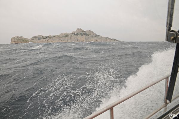 DSC0930m