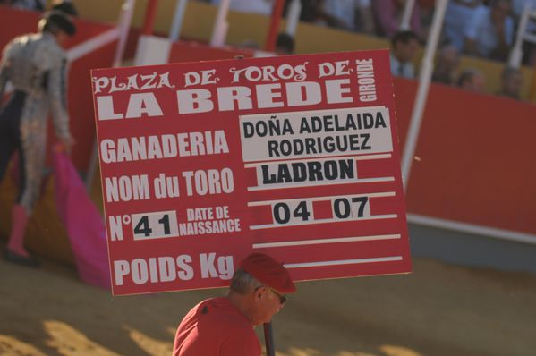 Ladron pour El Zapata, corrida de La Brède, 25 juin 2011