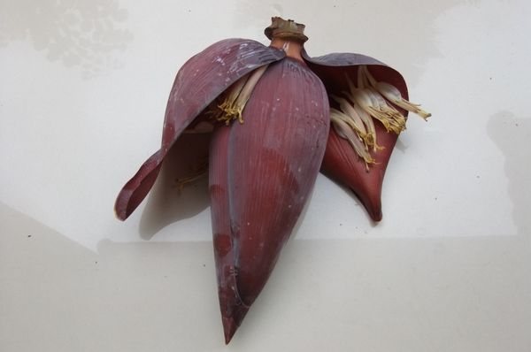 DSCF5817