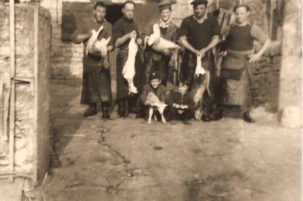abattoir