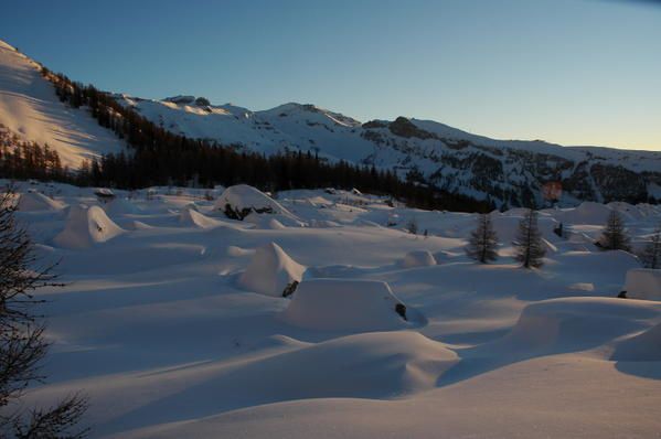 DSC_0107.jpg