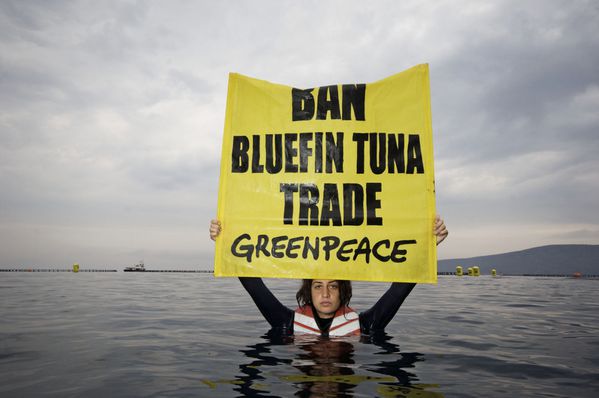 Greenpeace-thon-1.jpg