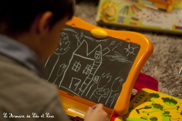 maya tableau activite