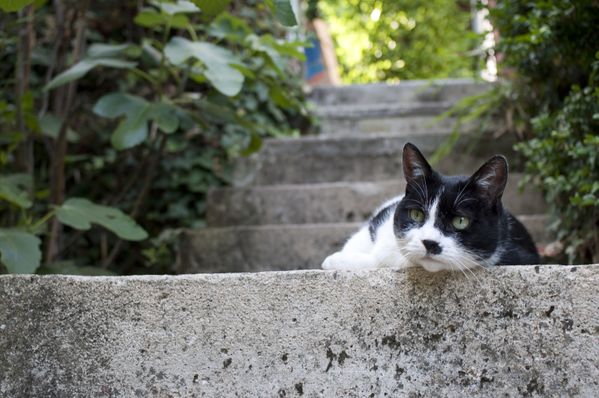 20130721 DSC0035