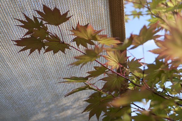 20130721 DSC0037