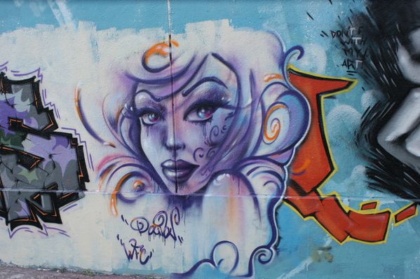 6310 rue des Pyrénées 14 novembre 2011