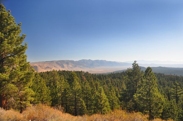 Long-Valley-caldera-N-E---resurgent-lava-dome-a-D.jpg