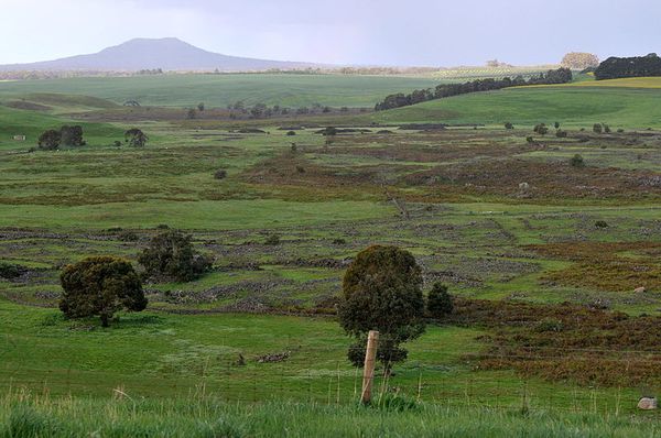 Harmans_Valley_looking_to_Mt_Napier--Mikeybear.JPG