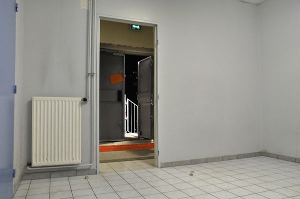 DSC3635