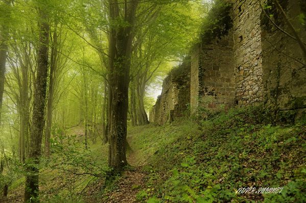 MONTAIGUILLON-------------------.JPG
