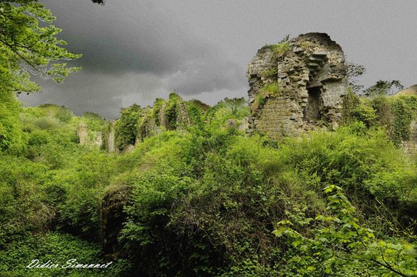MONTAIGUILLON-----------------.JPG