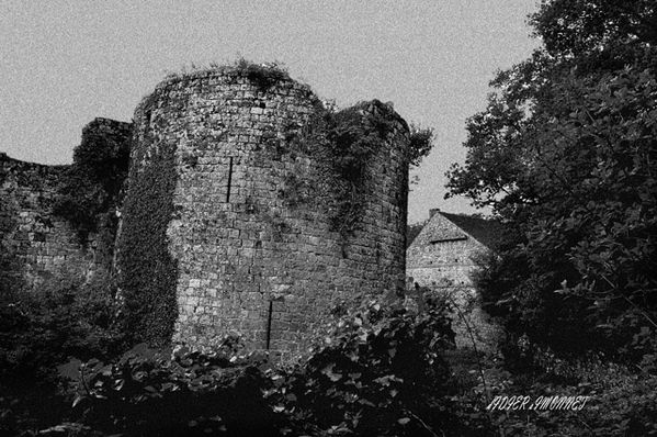 MONTAIGUILLON-------------.JPG