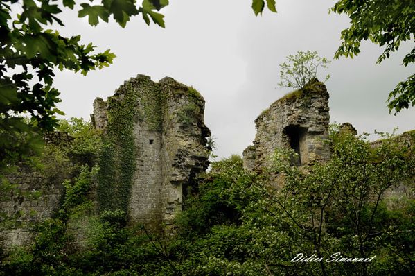 MONTAIGUILLON---.JPG