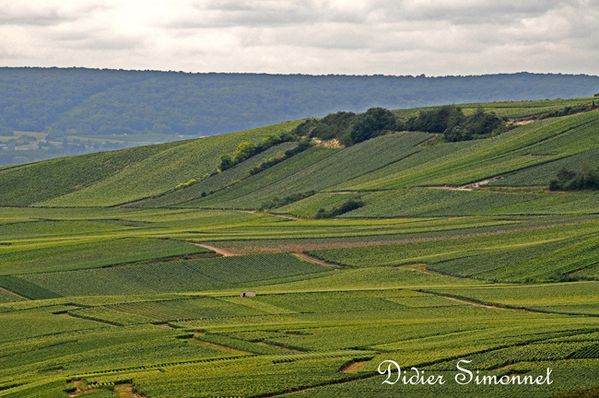 marne paysage