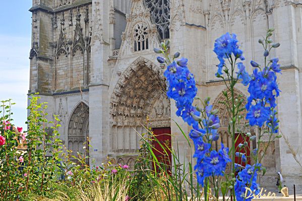 AUXERRE, église-