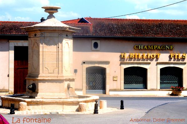 AMBONNAY, la fontaine ( Didier Simonnet )