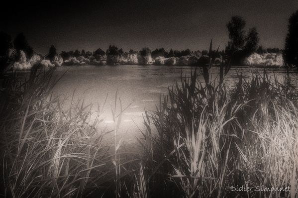 MARAIS DE SAINT-GOND ( Didier Simonnet ) 02