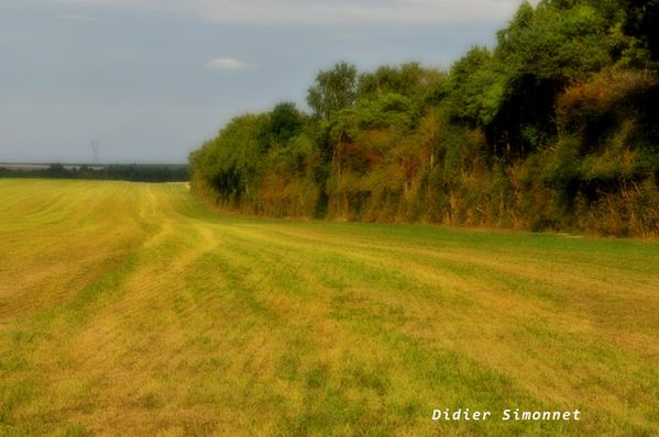 _5334-Vers-Ecury-600ko.jpg