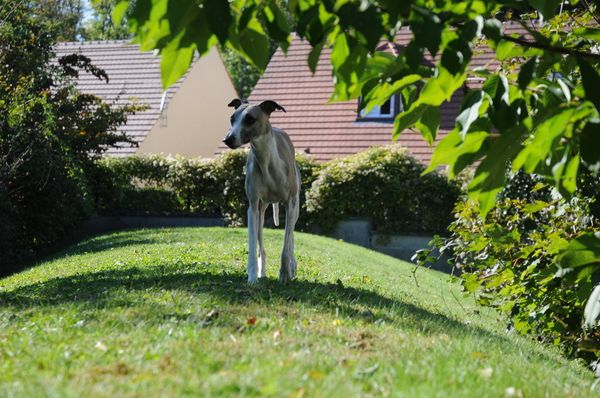Photo 087