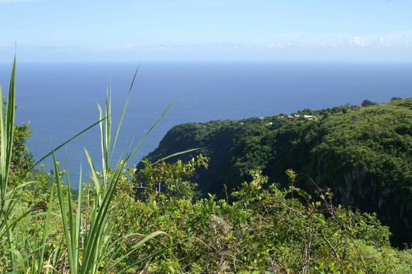 PICT0011.jpg